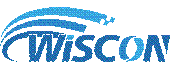 ˵: Wiscon logo